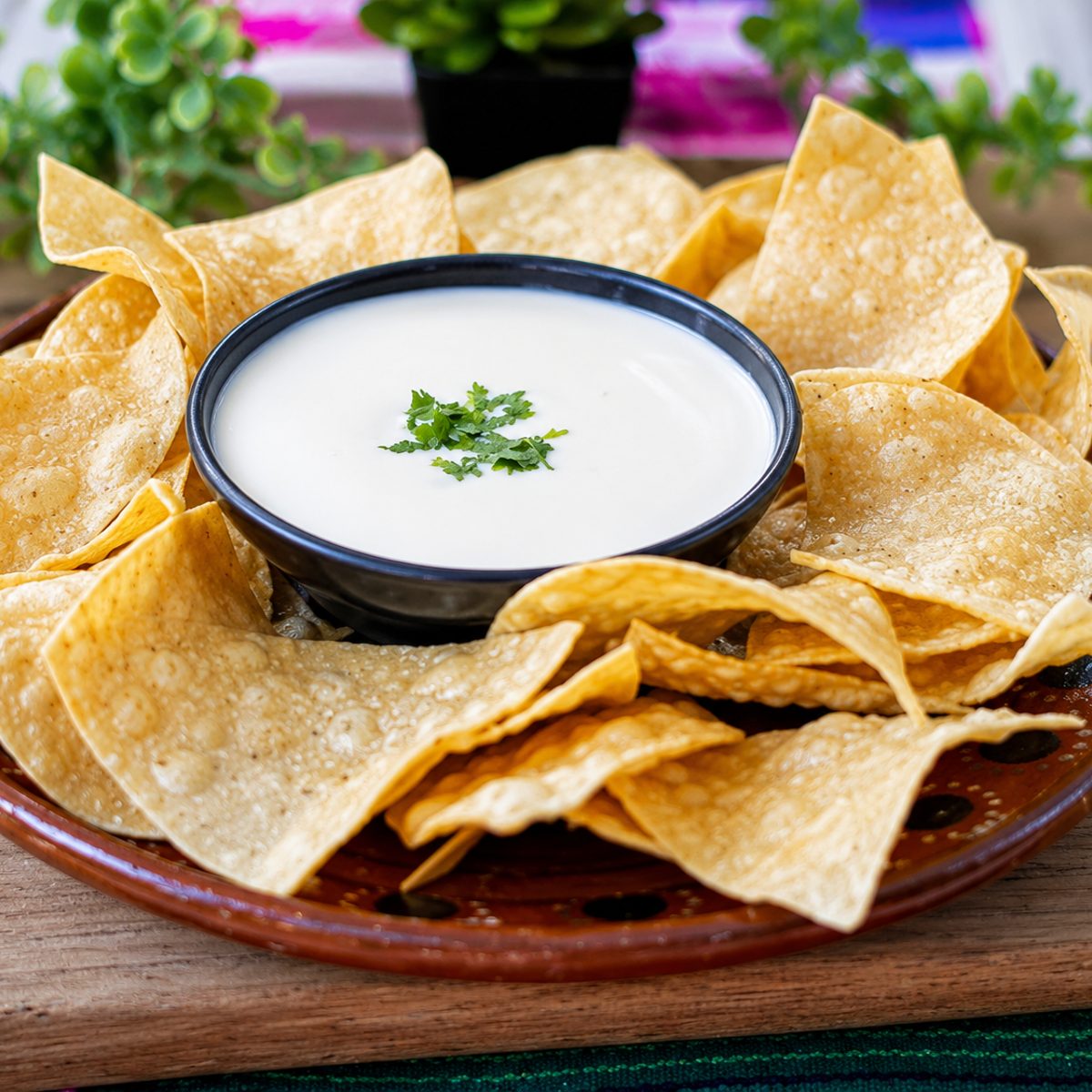 Don Taco Village STREET Mexican food Rewards