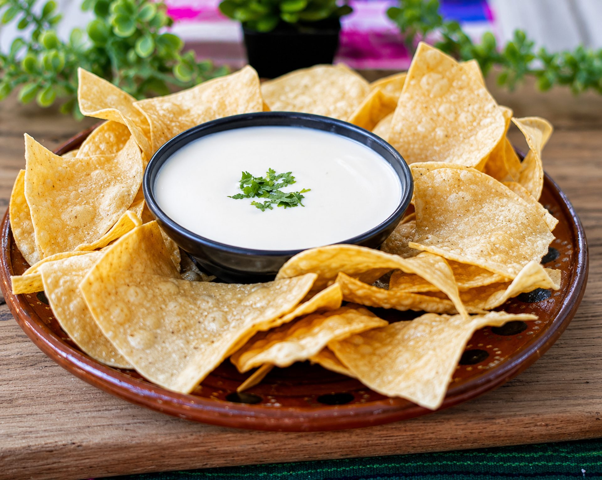 Don Taco Village STREET Mexican food Rewards